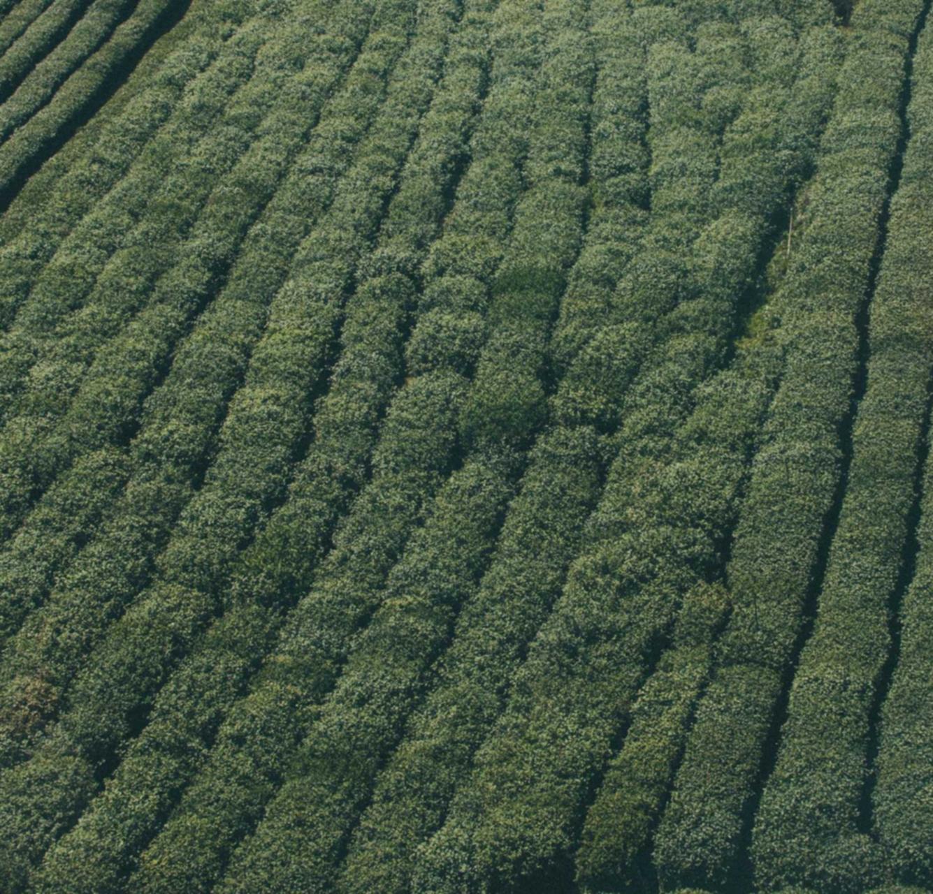华为云实名账号：温州项目会计代理平台