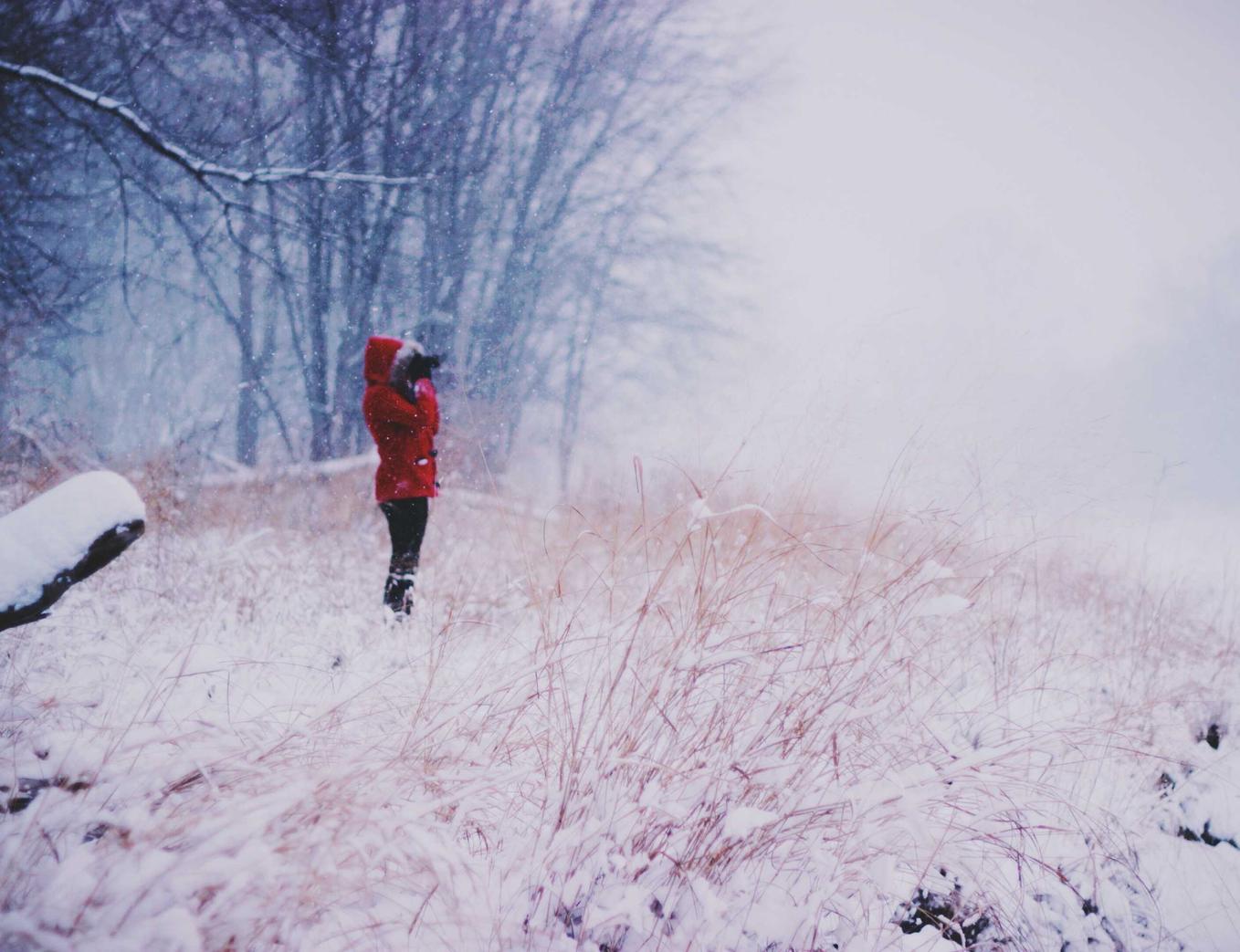 元梦之星：文山公司注册代理咨询