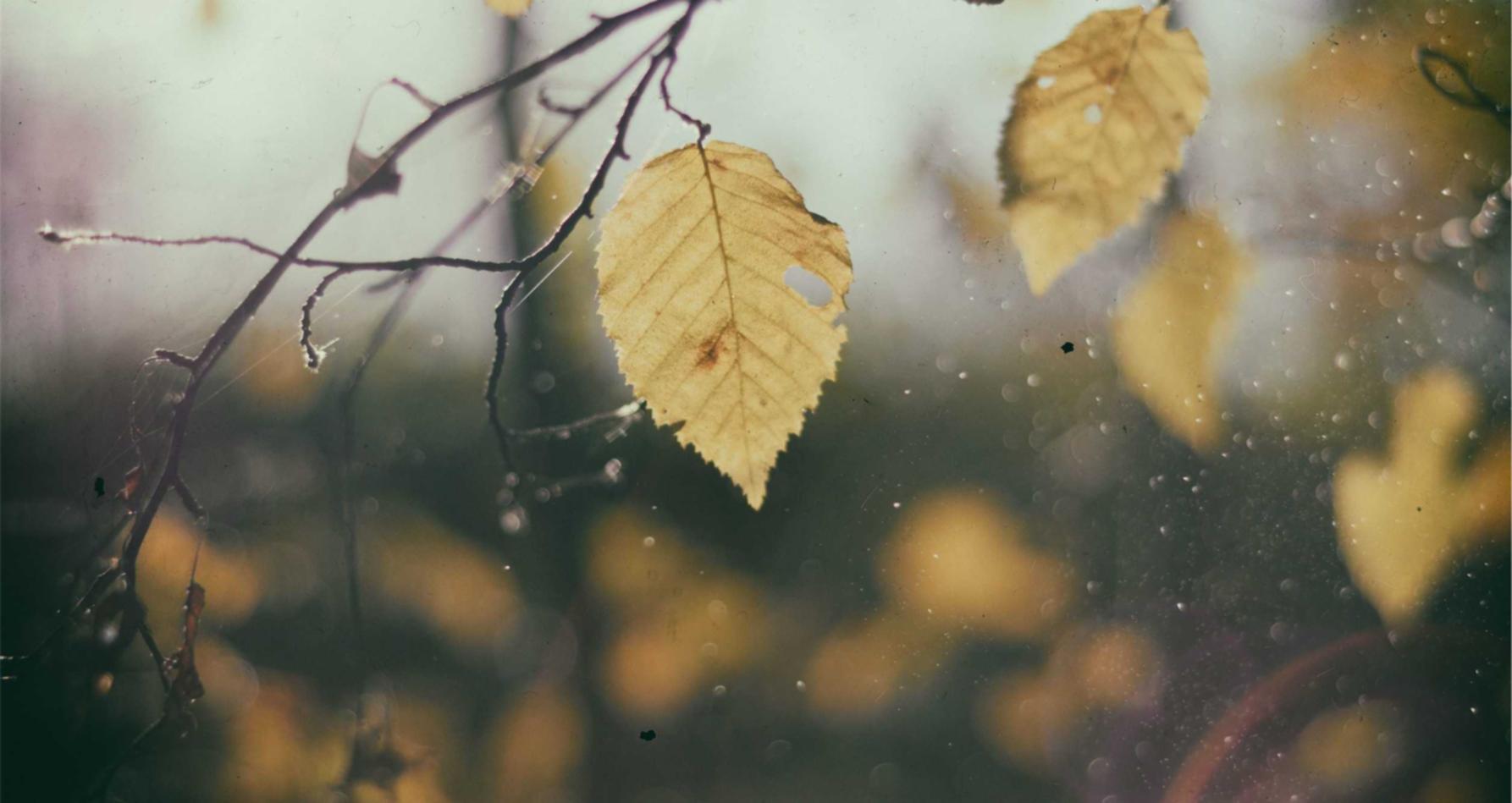 DDOS攻击测试|迅雷7app详情下载教程