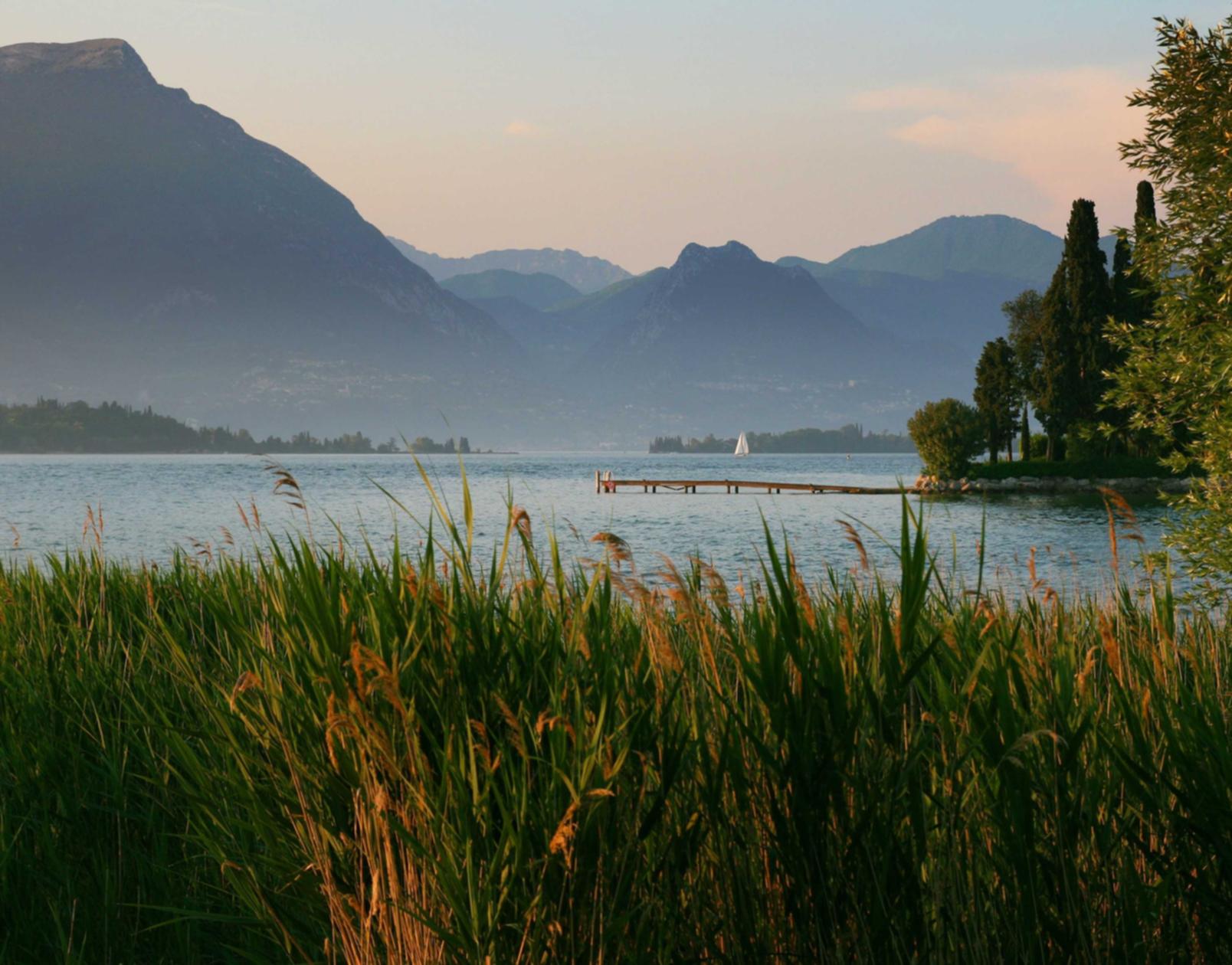 梵蒂斯装甲门官方账号注册