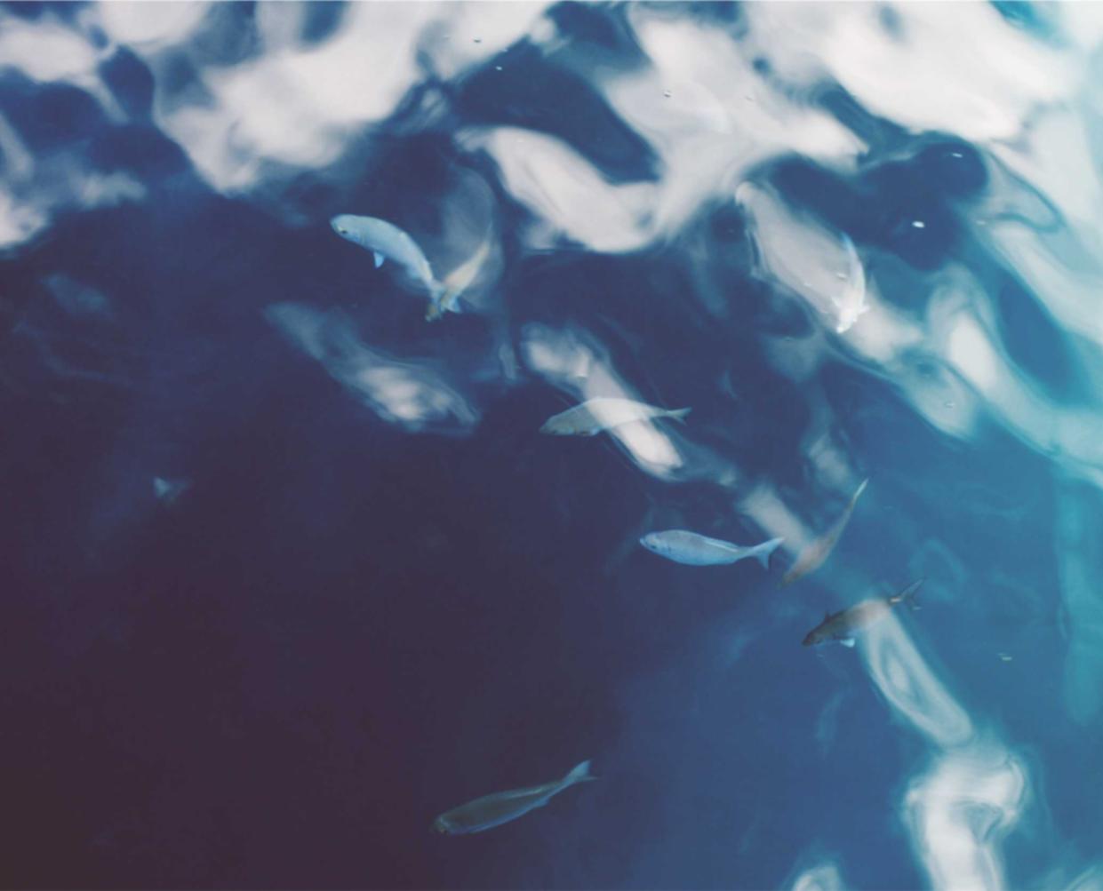 如何为您的短信营销提供可靠性？