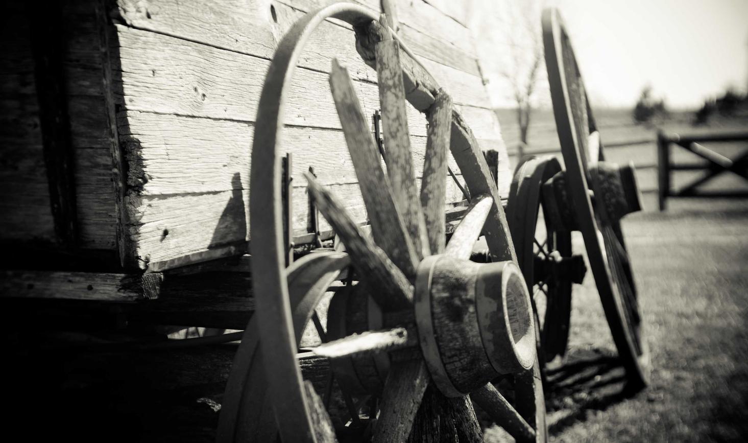 珍爱网实名账号：epic cdk购买平台