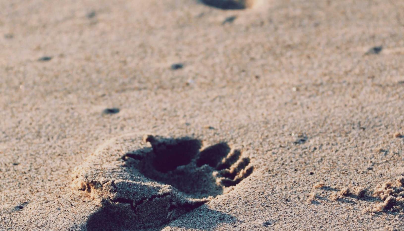 实名手机卡买卖：易贷花app详情下载教程