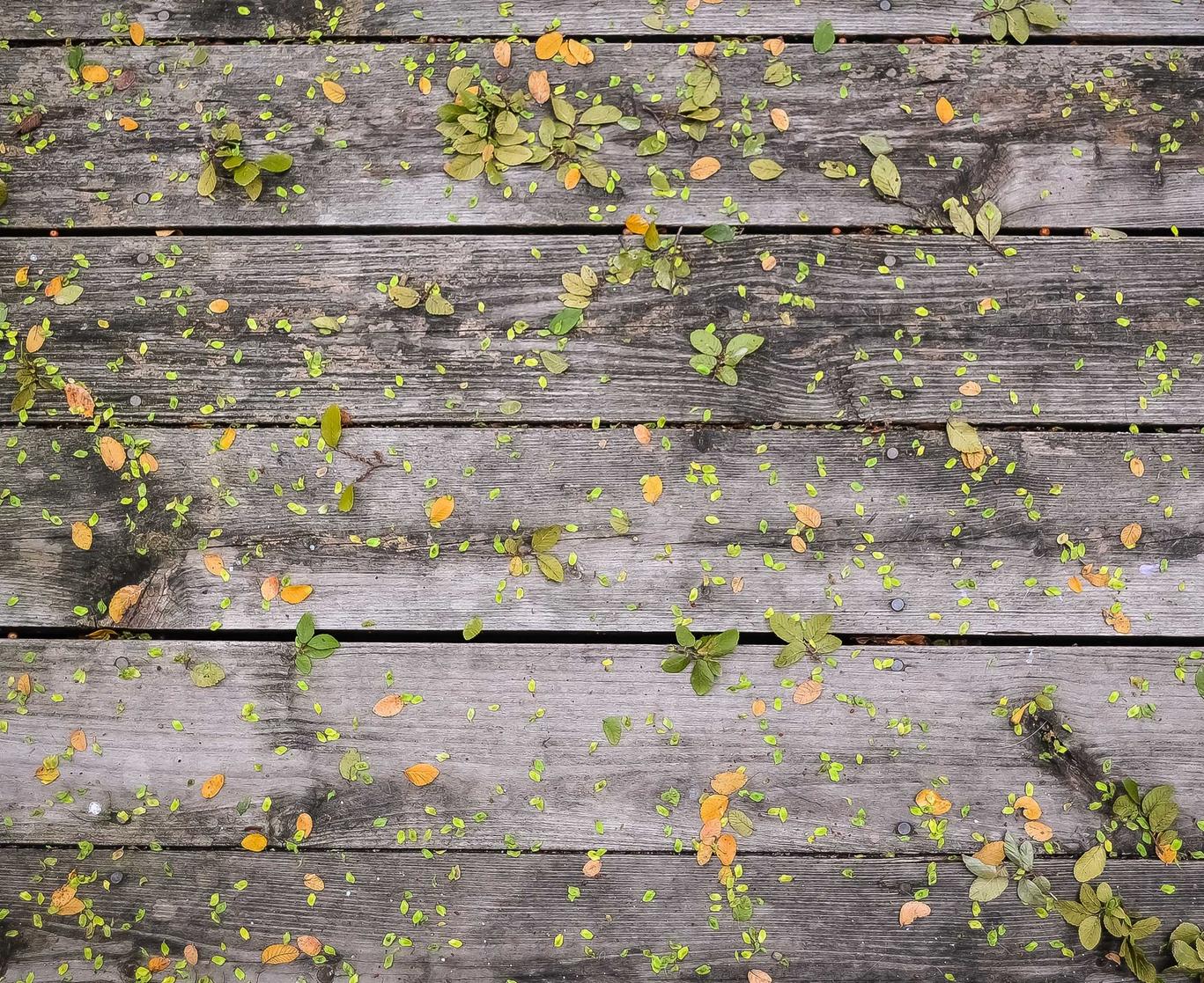 线上平台城市代理