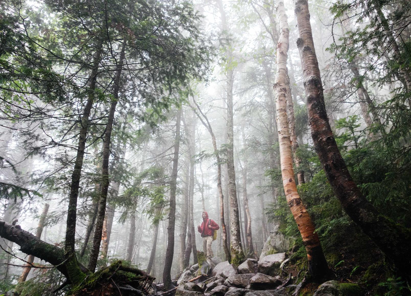 各种国外VX号：怎么注册南航新会员账号