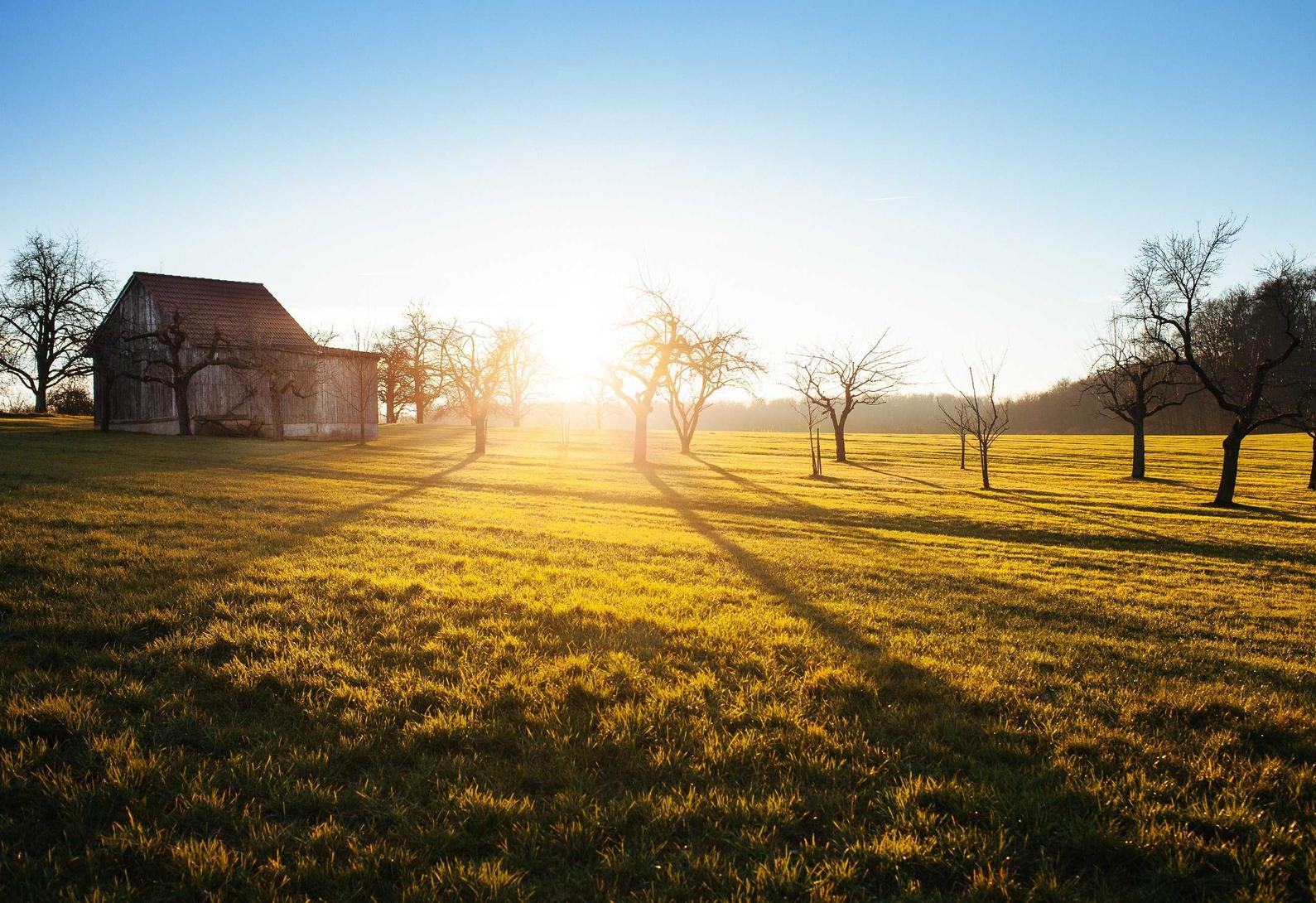 买微信号：注册自媒体账号需要做什么