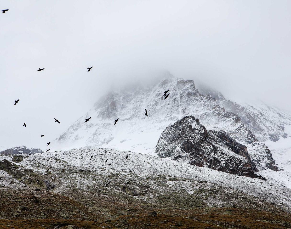 金皇朝4代理在哪个平台上找货源