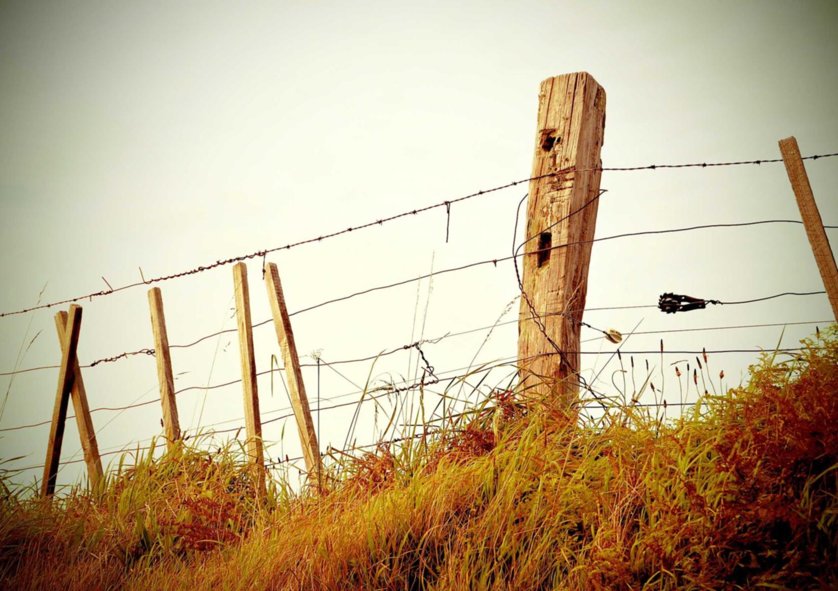 海口代理注册企业
