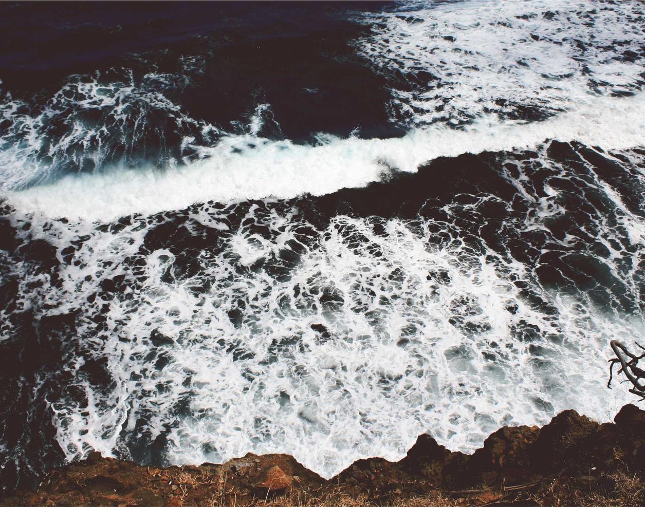 有嘴蓝骆驼：恒耀平台魏开户55145