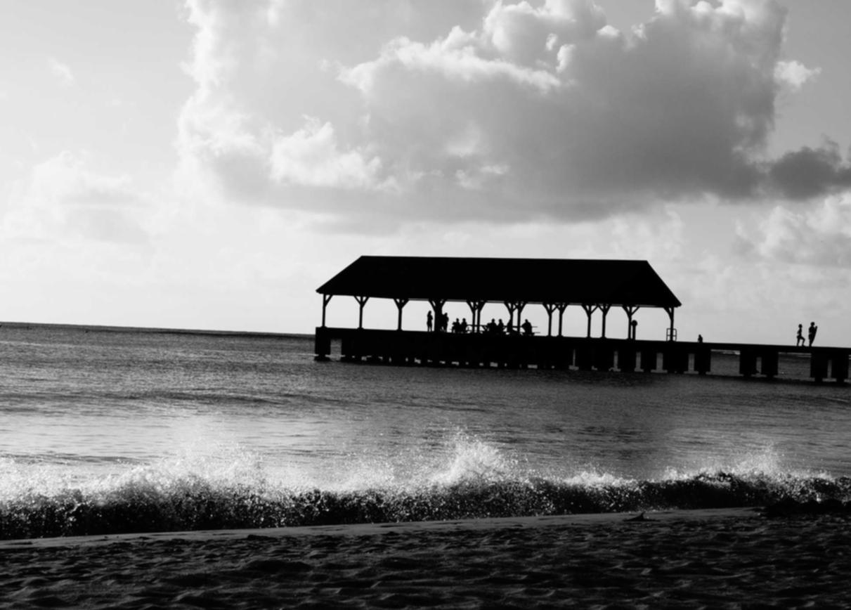 正品猕猴桃购买交易平台