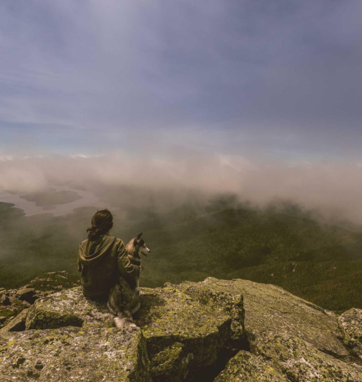 技术支持辅助的道德问题:你为什么要用技术支持辅助?
