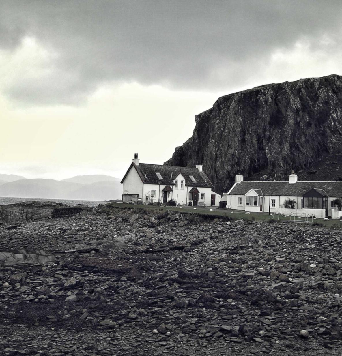 0月租流量卡:泰州木桩购买平台