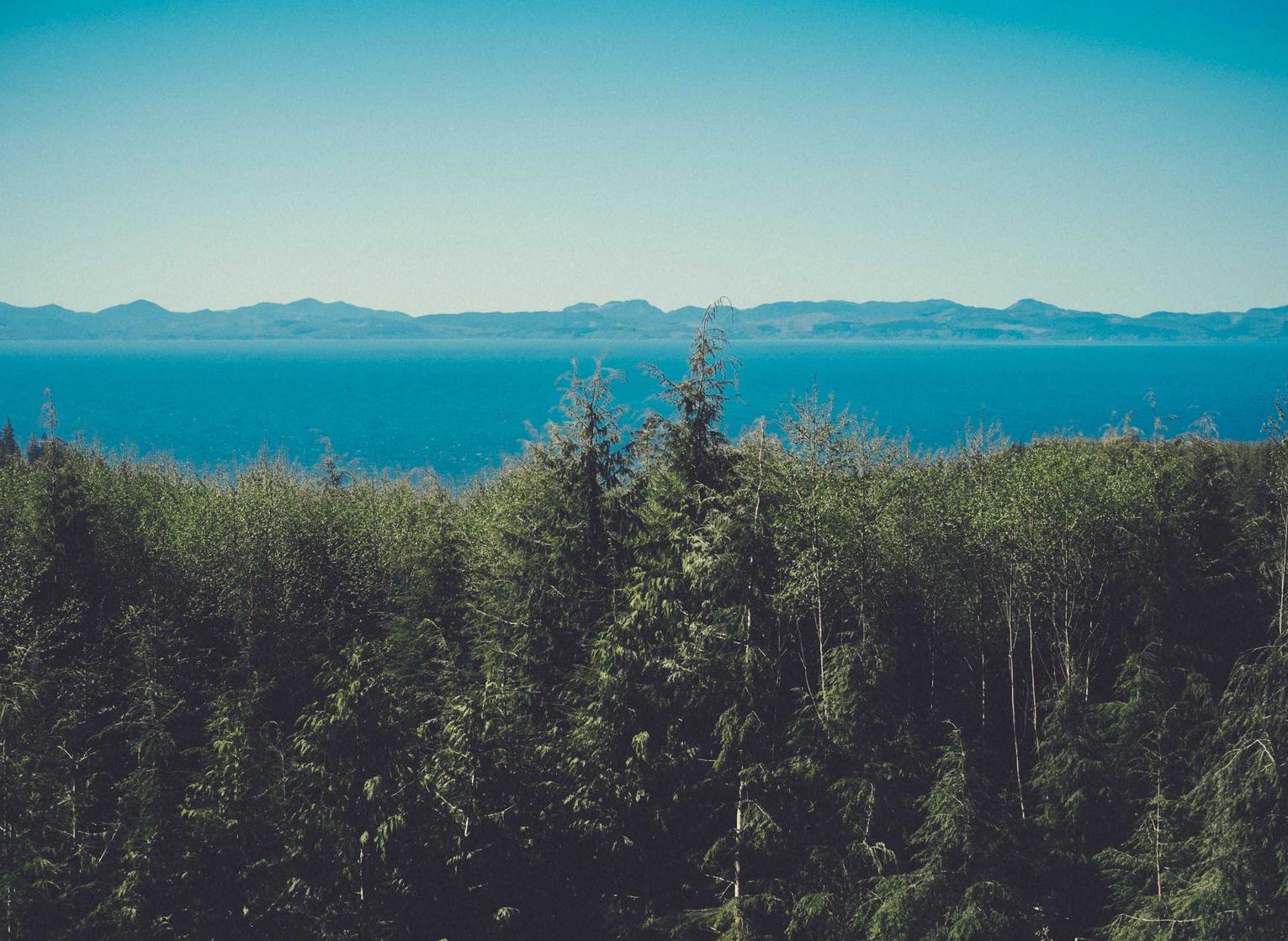 如何针对移动、PC端SEO进行优化