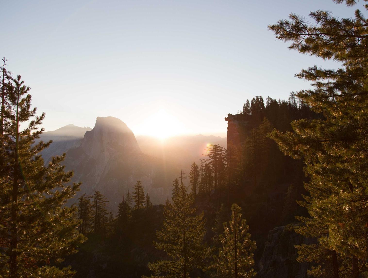 星之后裔:Knights of Veda:最新京东金融app详情下载教程