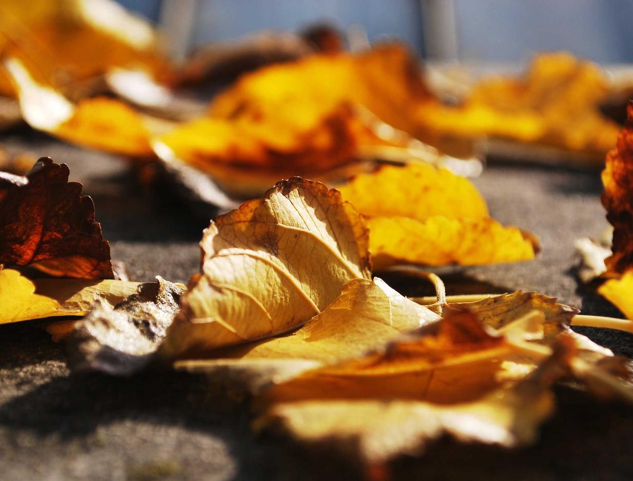 临沧专业工商注册代理人