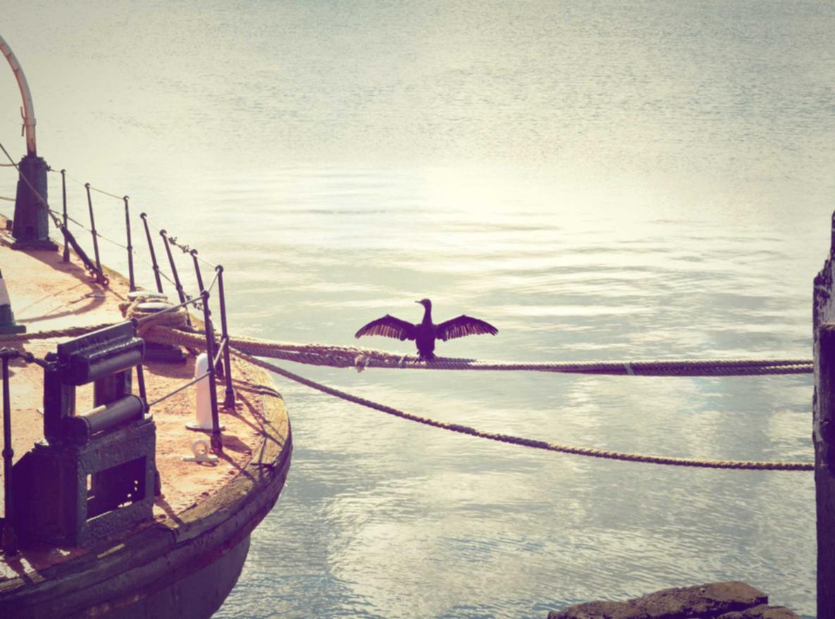 国内微信买卖：小宝贝直播app哪里详情下载教程