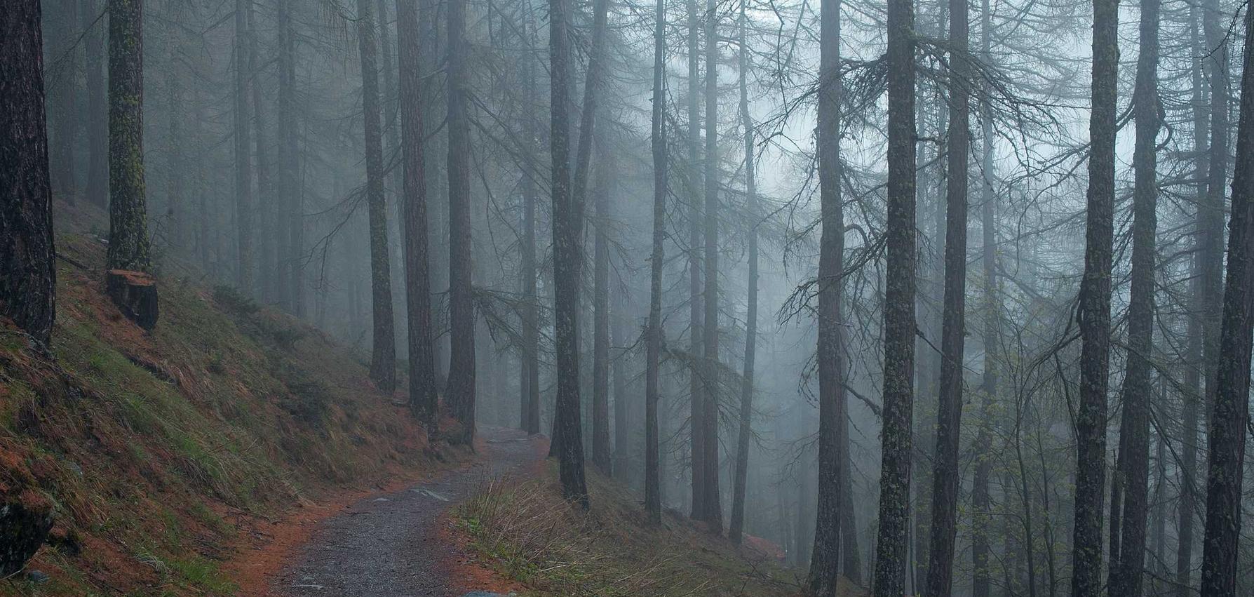 春秋项目规划翔安注册公司代理