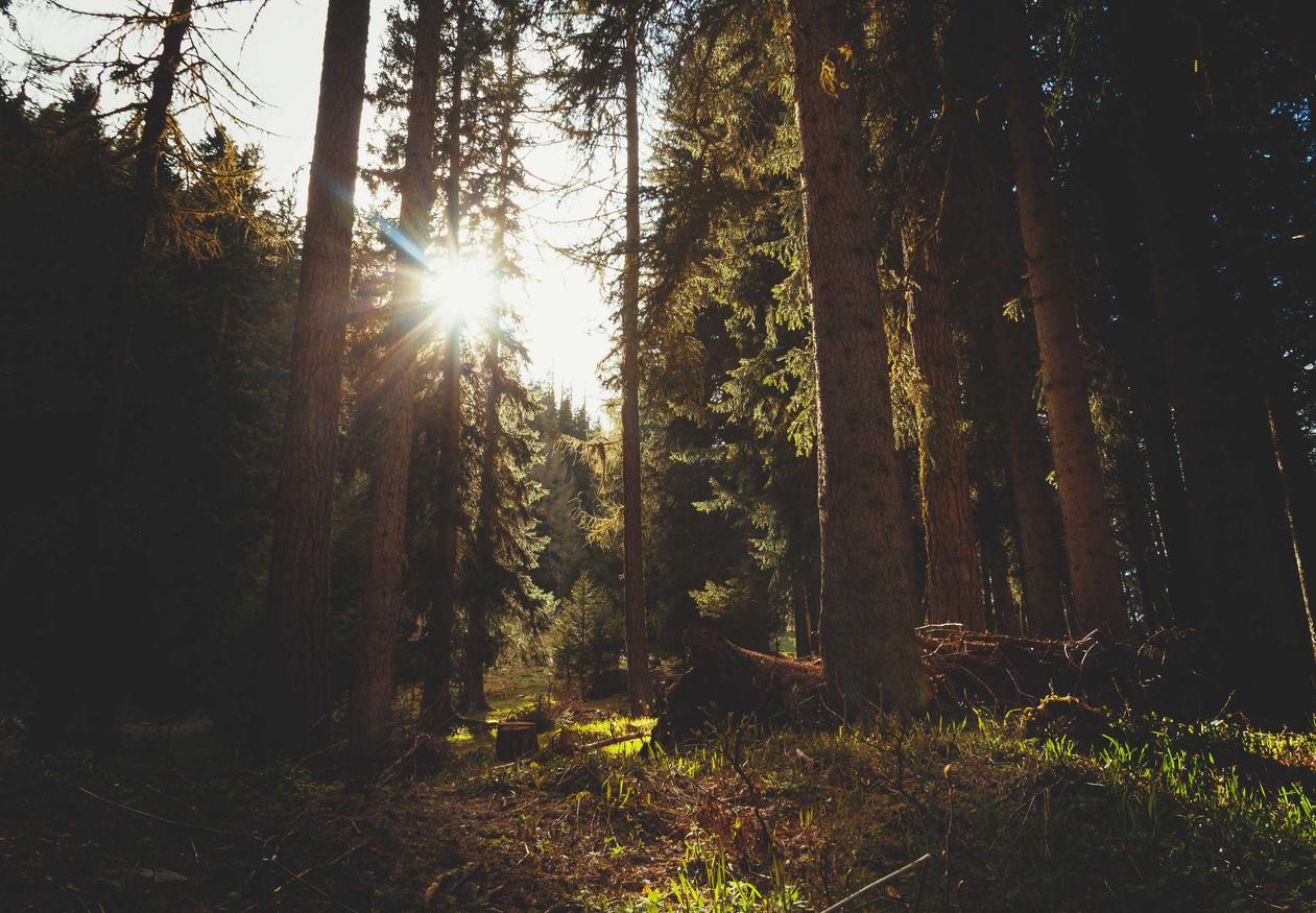 如何对SEO进行竞争研究