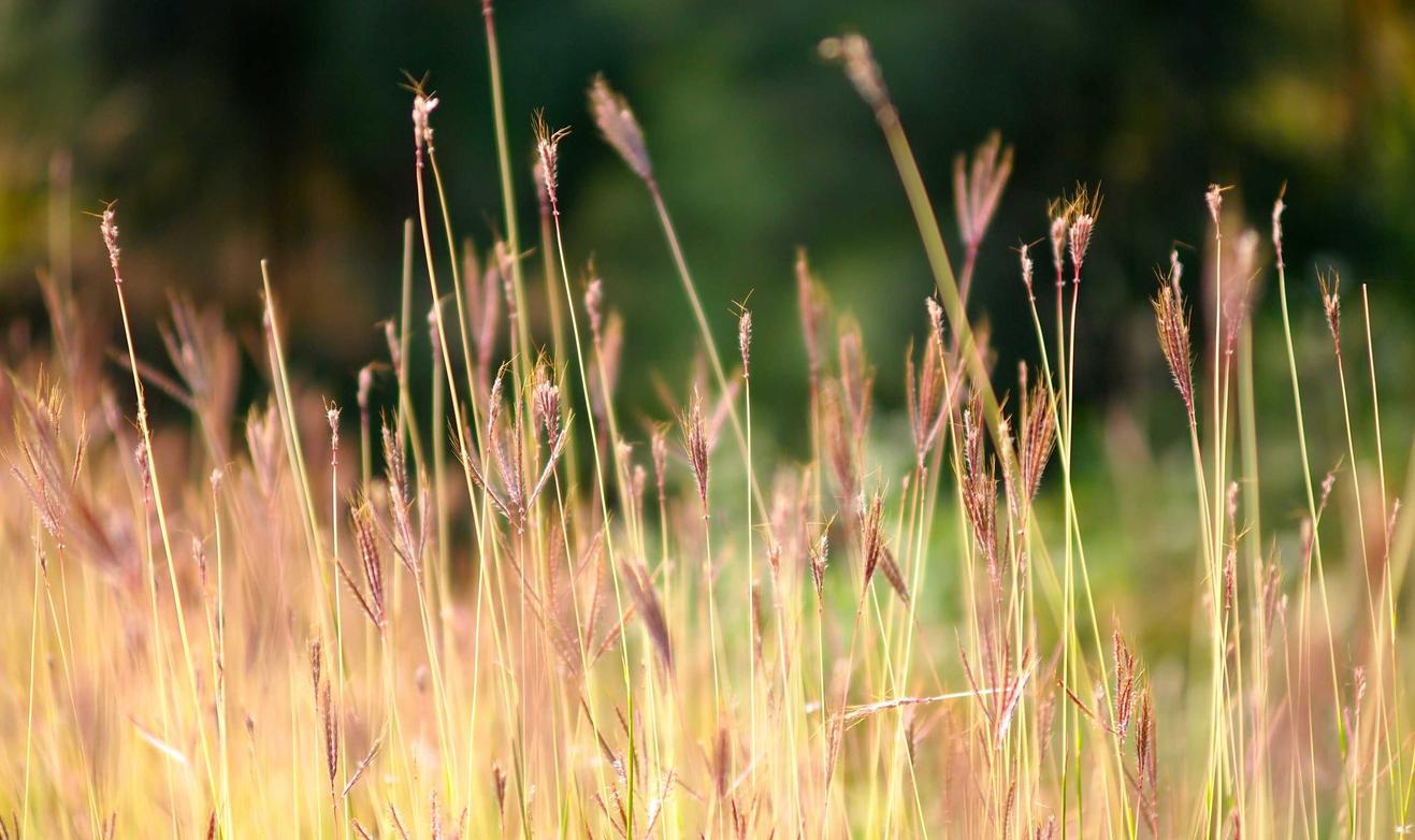 亚游天津工商注册代理年检