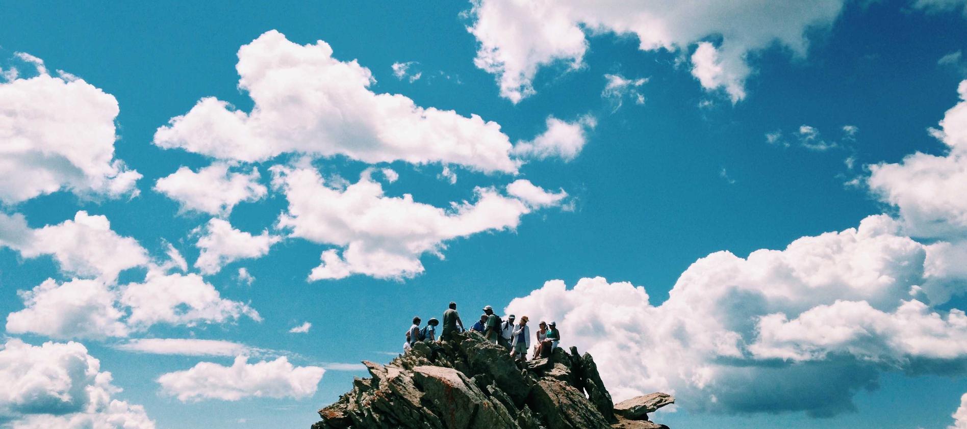 短信与你的宠物：你的宠物如何看待你的短信 