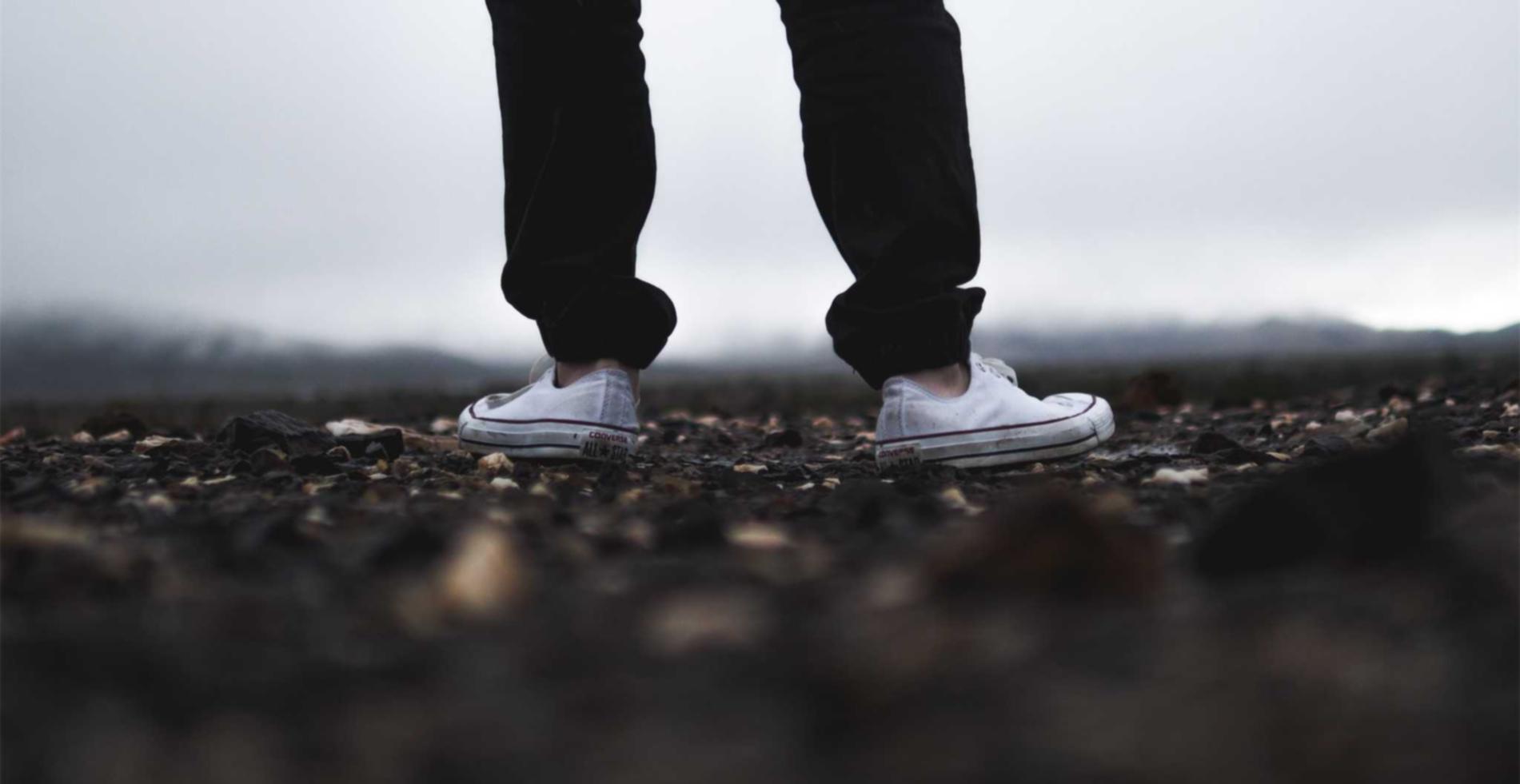 九通软件平台代理软件