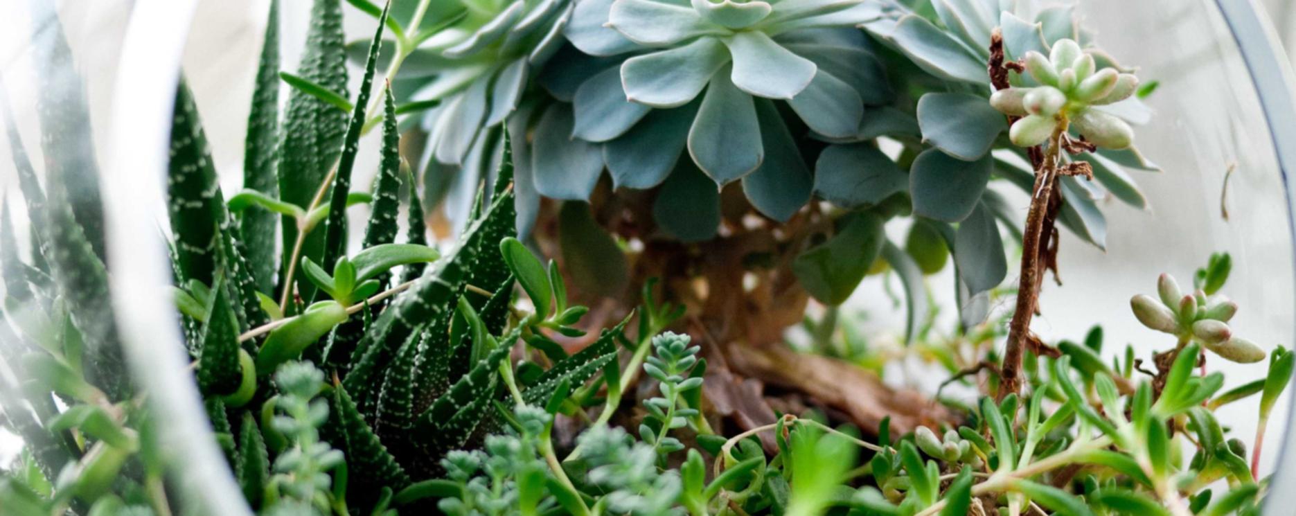 魔方云实名账号：福建期货平台代理代理微信