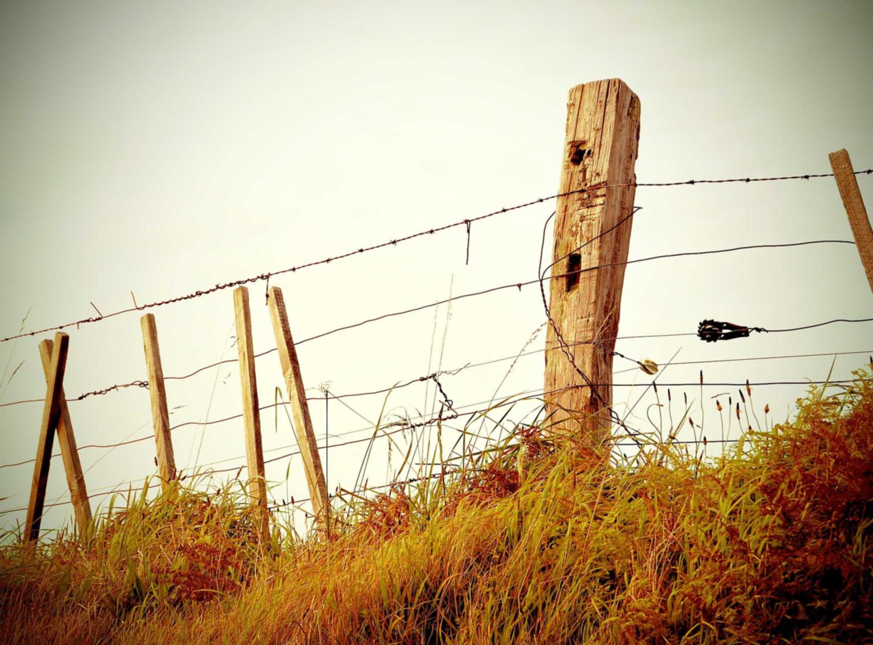 soul灵魂实名账号：建邺代理注册商标公司