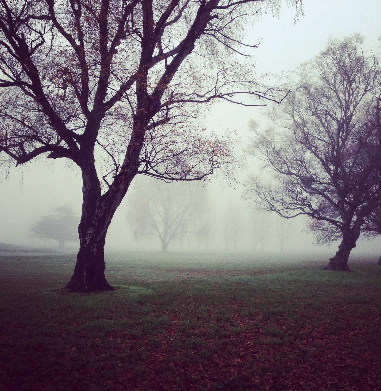 腾讯云实名账号：trademax平台代理安全防护