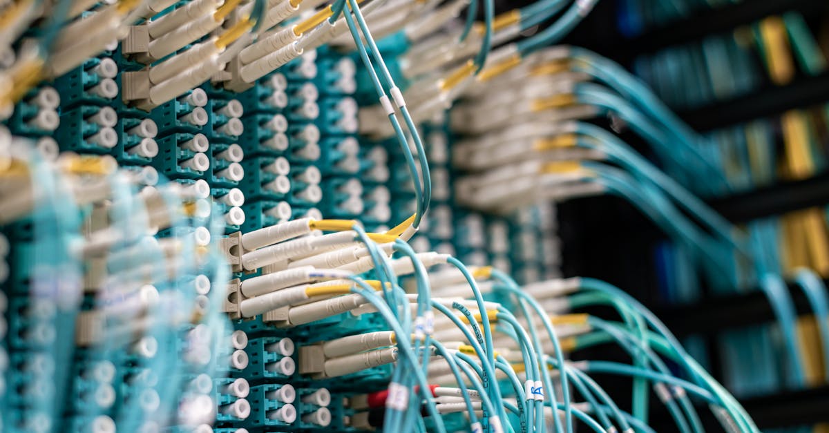 云上城之歌：蜜柚直播app详情下载教程