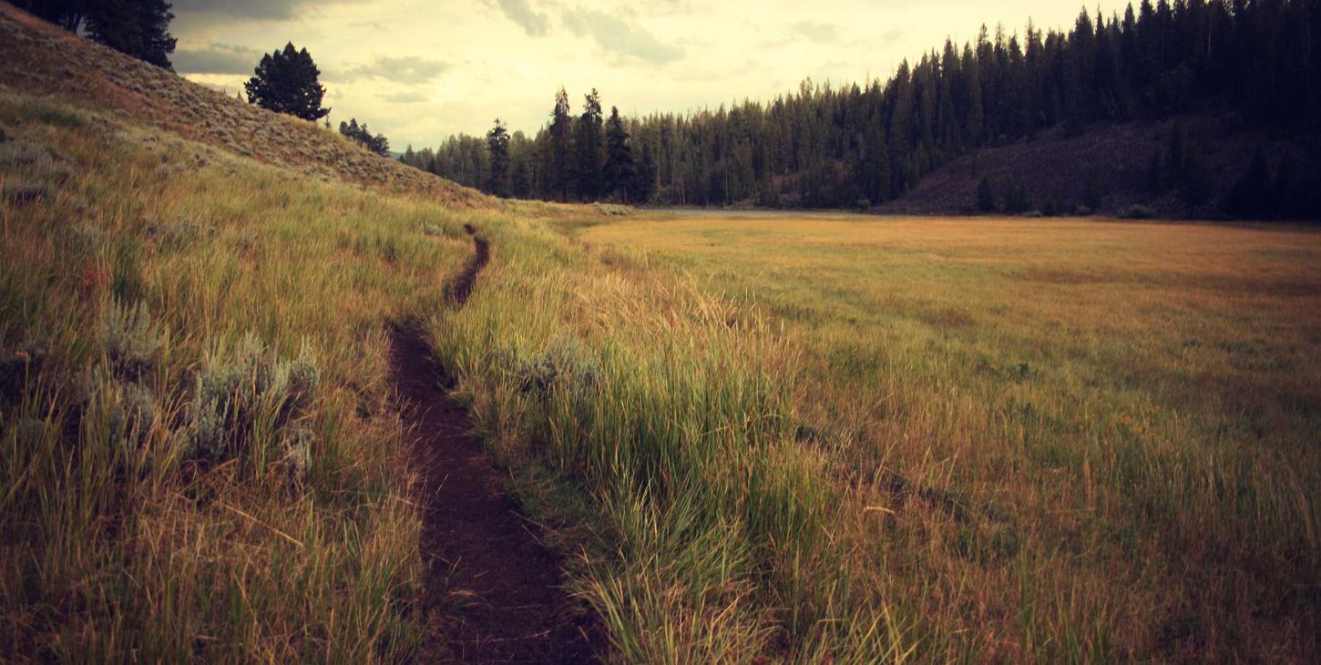 傲世皇朝怎么测试头条账号注册