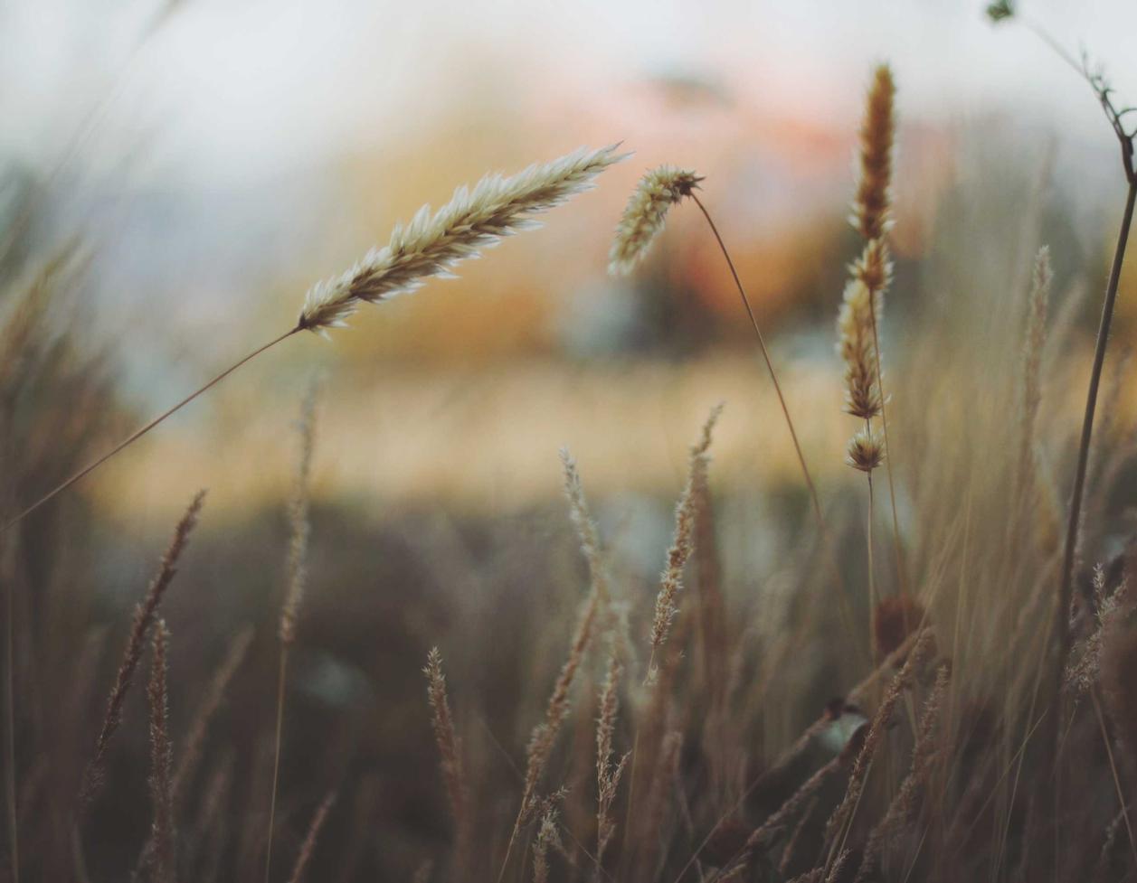 流量卡免实名- 风云策略app详情下载教程