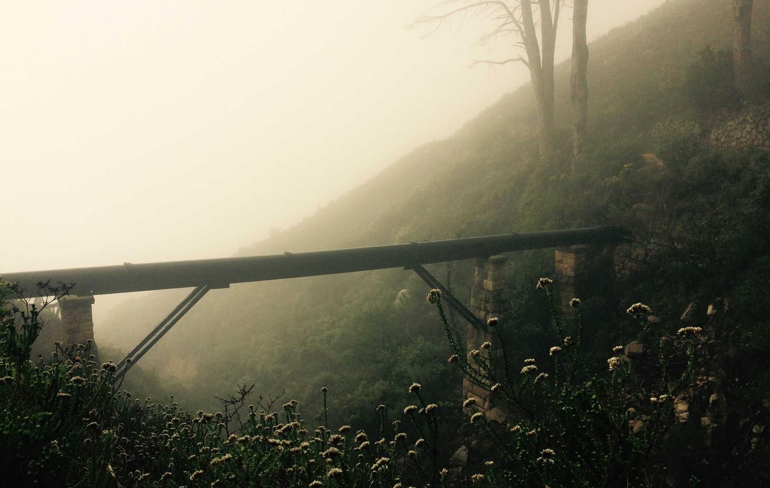 豆瓣实名账号：工商注册代理公司怎么咨询