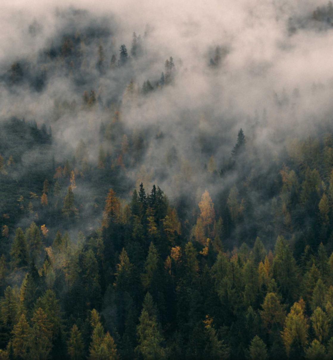 代理公司注册作用