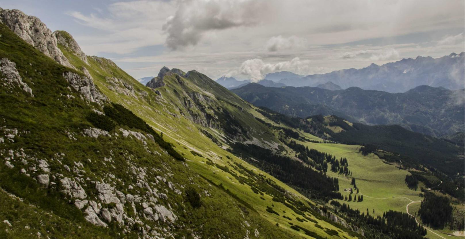 LOST LIGHT：购买账号成本优化网址