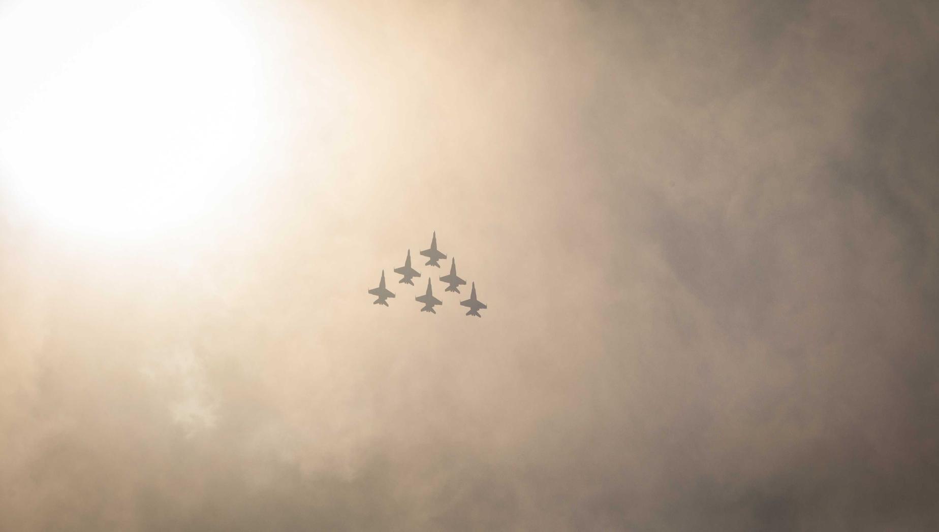 铁塔猫红酒爆珠(粗):97游戏代理平台详情下载教程