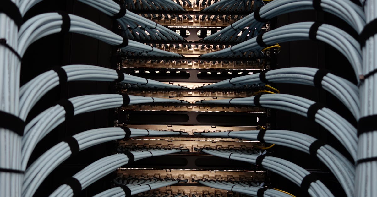 在革命之前想象技术支持将如何改变人类？